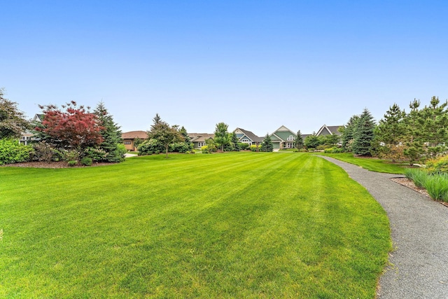 11314 Sunflower Ln N, Lake Elmo, MN 55042 - photo 79
