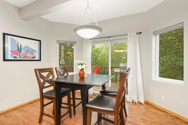 6242 Cavendish Pl, Eden Prairie, MN 55346 - dining space featuring light wood finished floors