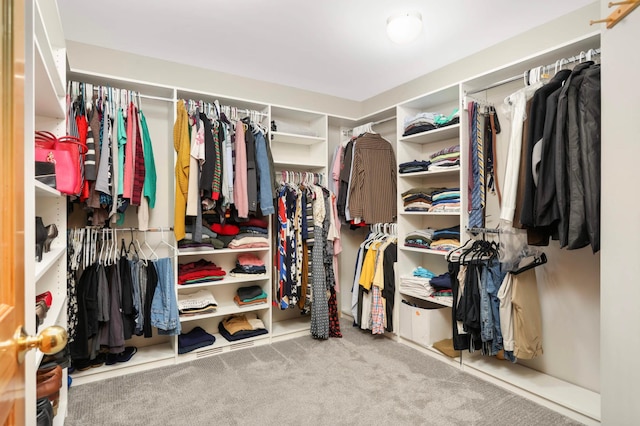 6242 Cavendish Pl, Eden Prairie, MN 55346 - spacious closet with carpet flooring