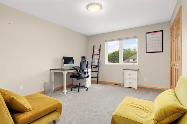 6242 Cavendish Pl, Eden Prairie, MN 55346 - office area featuring carpet floors