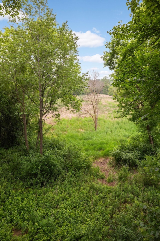 6242 Cavendish Pl, Eden Prairie, MN 55346 - view of nature