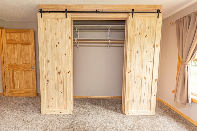 17366 Ryan Dr NE, Osakis, MN 56360 - view of closet
