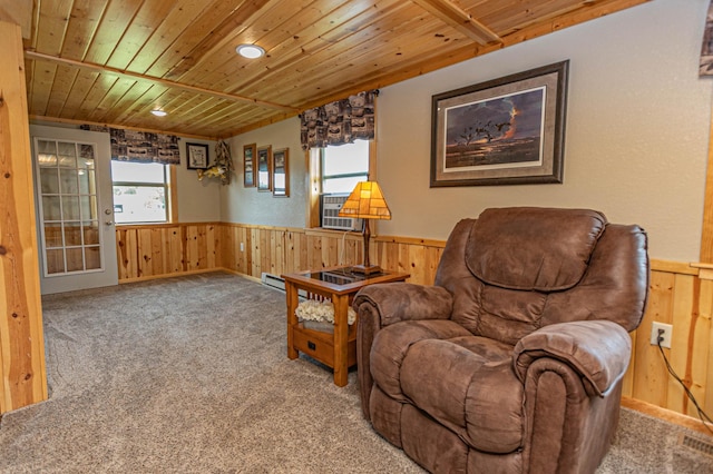 17366 Ryan Dr NE, Osakis, MN 56360 - living area featuring wooden ceiling, wooden walls, wainscoting, and carpet