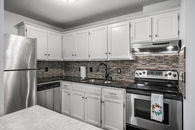 10311 Cedar Lake Rd Unit 202, Minnetonka, MN 55305 - kitchen with stainless steel appliances, ventilation hood, a sink, white cabinets, and backsplash