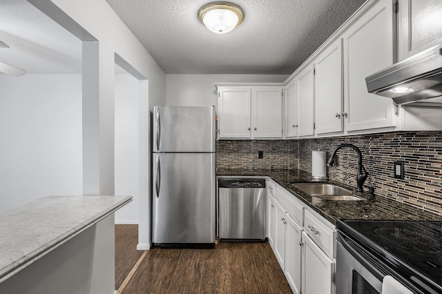 10311 Cedar Lake Rd Unit 202, Minnetonka, MN 55305 - kitchen with appliances with stainless steel finishes, a sink, dark wood-type flooring, range hood, and backsplash