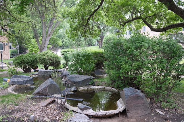 10311 Cedar Lake Rd Unit 202, Minnetonka, MN 55305 - view of yard with a small pond