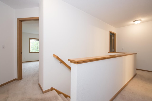 412 Cedar Pl, Maple Lake, MN 55358 - hall featuring an upstairs landing and light carpet