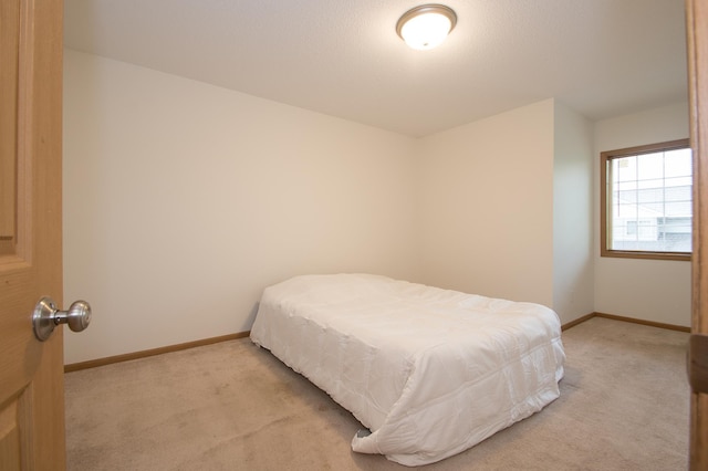 412 Cedar Pl, Maple Lake, MN 55358 - bedroom with light colored carpet and baseboards