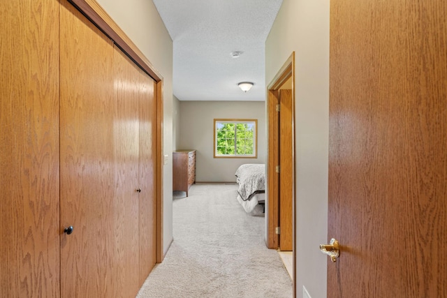 1111 Iris Dr, White Bear Twp, MN 55127 - photo 20