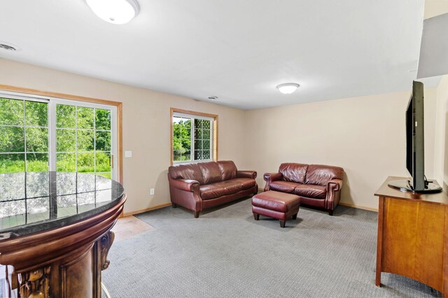 1111 Iris Dr, White Bear Twp, MN 55127 - photo 30