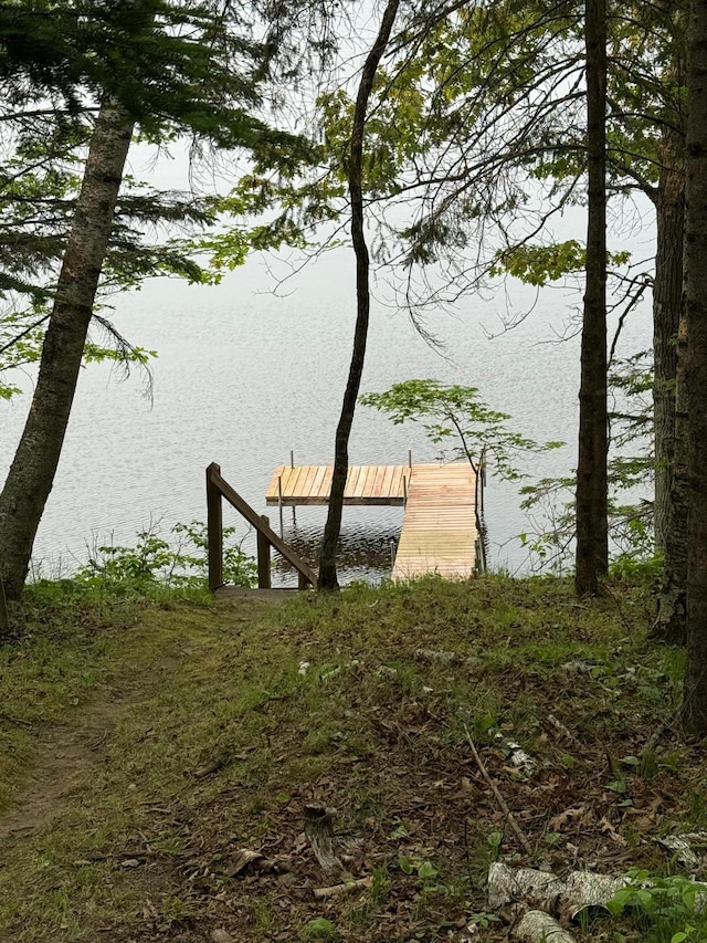 32074 315th Pl, Glen Twp, MN 56431 - dock with a water view