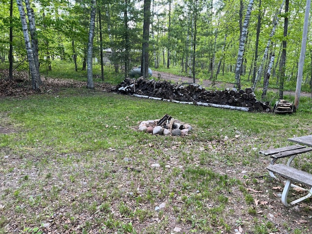 32074 315th Pl, Glen Twp, MN 56431 - view of yard