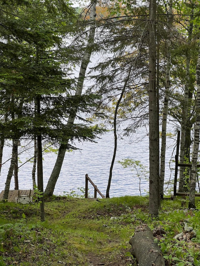 32074 315th Pl, Glen Twp, MN 56431 - water view