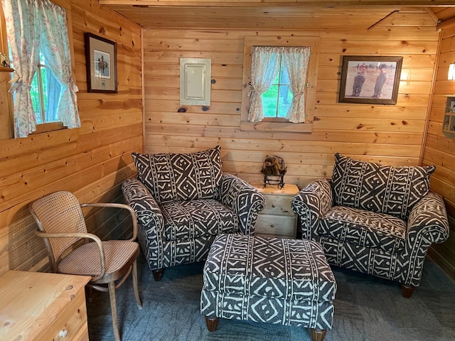 32074 315th Pl, Glen Twp, MN 56431 - sitting room featuring wooden walls and carpet floors