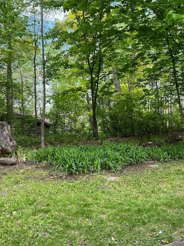 32074 315th Pl, Glen Twp, MN 56431 - view of nature