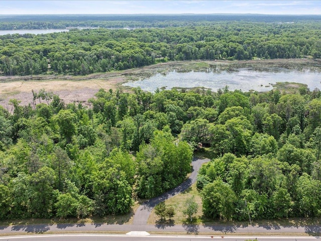 5863 Foley Rd, Baxter, MN 56425 - view of property location featuring a heavily wooded area and a nearby body of water