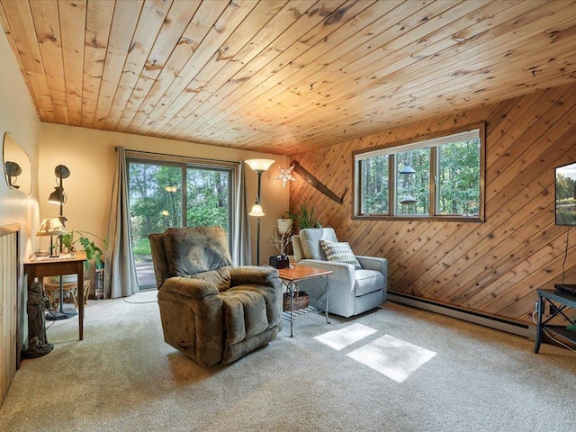 5863 Foley Rd, Baxter, MN 56425 - carpeted living area featuring a baseboard radiator, wood ceiling, and wooden walls