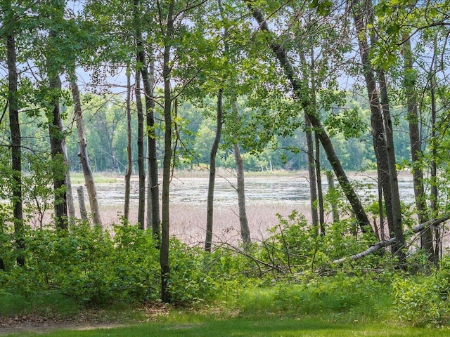 5863 Foley Rd, Baxter, MN 56425 - photo 39