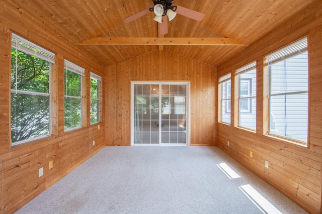 1618 10th St N, Fargo, ND 58102 - unfurnished sunroom with wooden walls, wood ceiling, and carpet