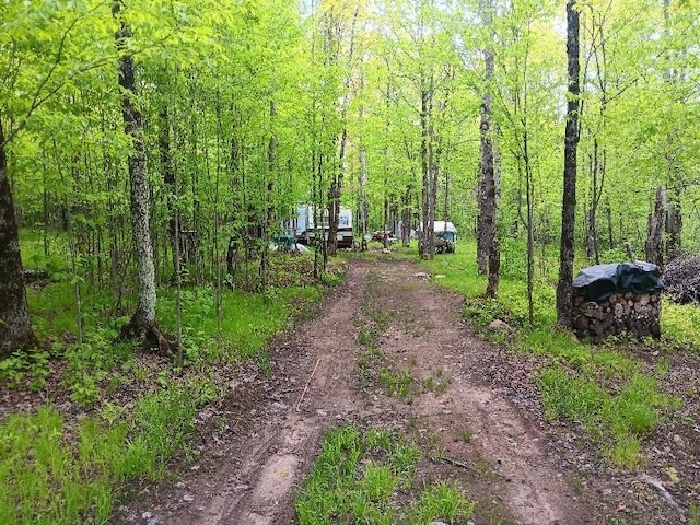 N10095 Woodland Ln, Worcester Twp, WI 54555