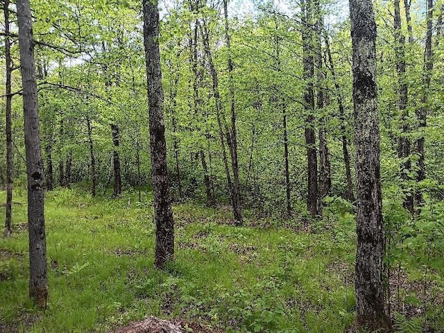 N10095 Woodland Ln, Worcester Twp, WI 54555