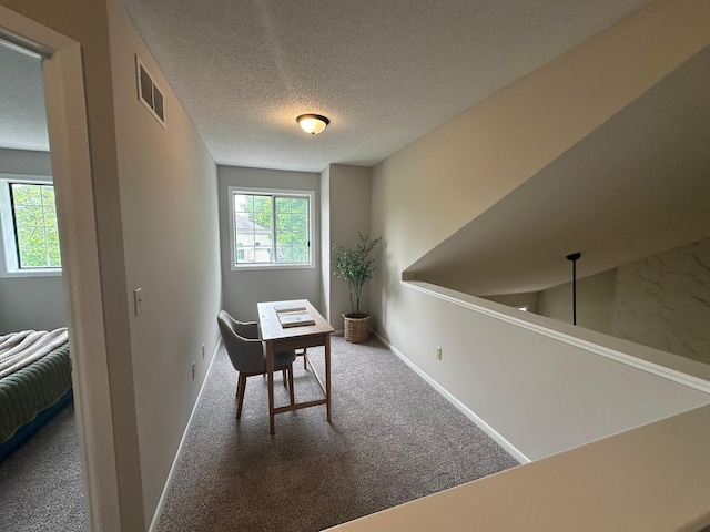 691 85th Ln NW Unit 1, Coon Rapids, MN 55433 - carpeted office space with a textured ceiling and baseboards