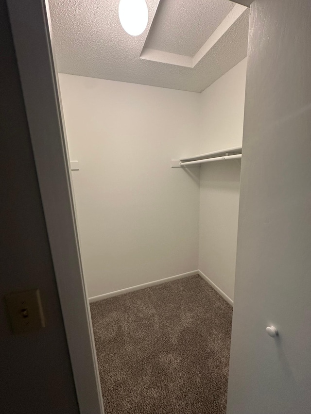 691 85th Ln NW Unit 1, Coon Rapids, MN 55433 - spacious closet featuring carpet flooring