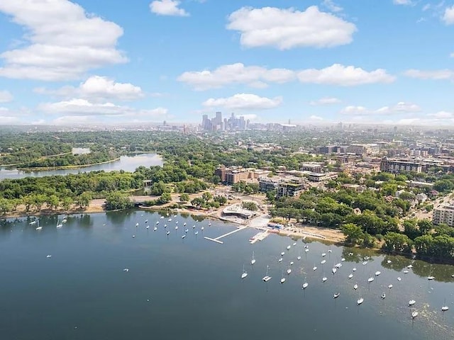 3109 James Ave S, Minneapolis, MN 55408 - view of urban area featuring a nearby body of water