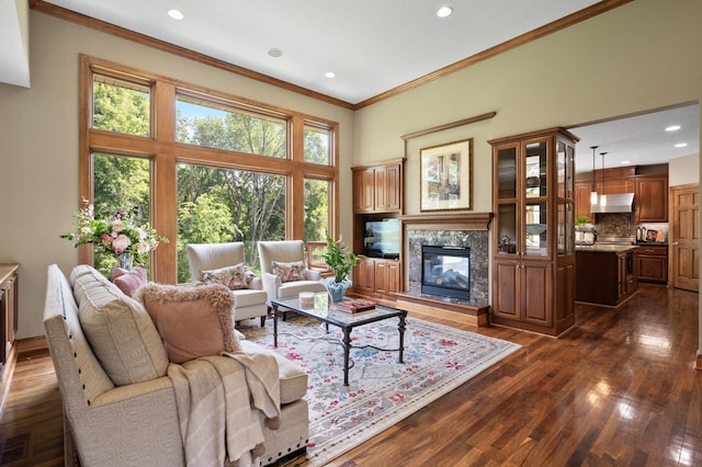 8867 Aviary Path, Inver Grove Heights, MN 55077 - living room with ornamental molding, a premium fireplace, dark wood-style flooring, and recessed lighting