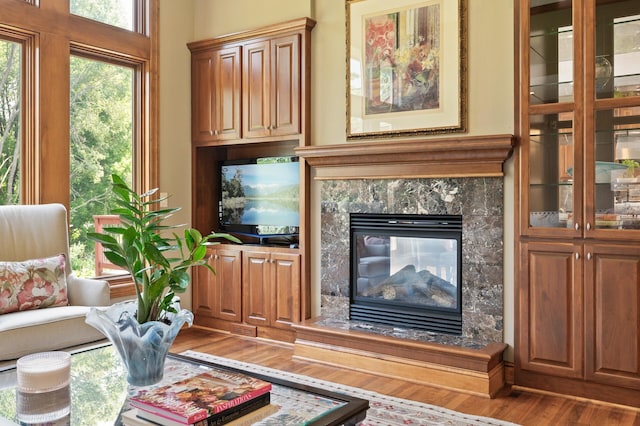 8867 Aviary Path, Inver Grove Heights, MN 55077 - living area featuring wood finished floors and a fireplace