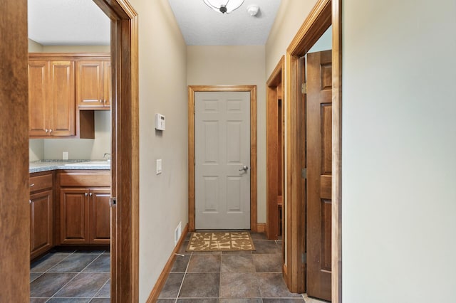 8867 Aviary Path, Inver Grove Heights, MN 55077 - hallway with baseboards, a textured ceiling, and a sink