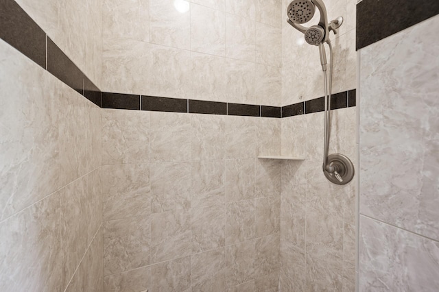 8867 Aviary Path, Inver Grove Heights, MN 55077 - bathroom view of tiled shower