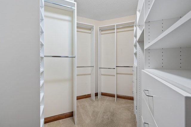 8867 Aviary Path, Inver Grove Heights, MN 55077 - walk in closet featuring light carpet