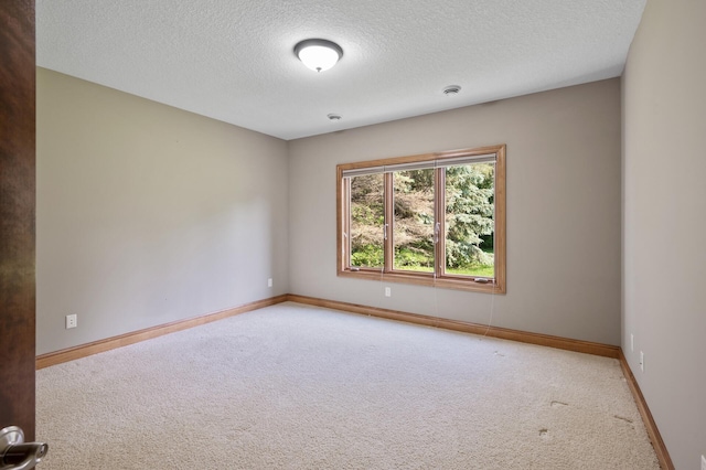 8867 Aviary Path, Inver Grove Heights, MN 55077 - empty room with carpet, a textured ceiling, and baseboards