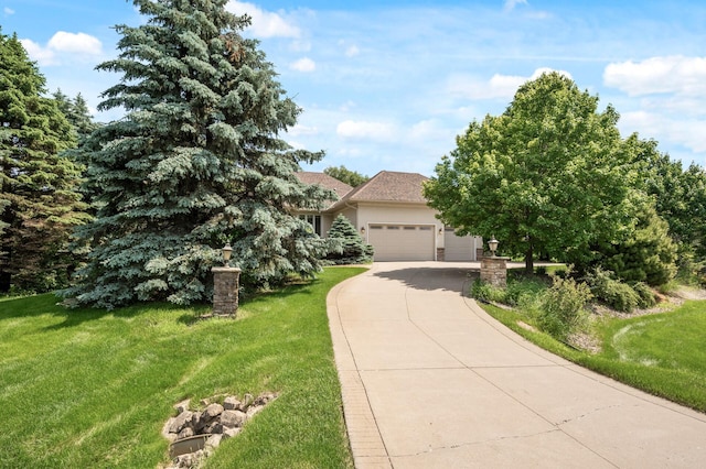 8867 Aviary Path, Inver Grove Heights, MN 55077 - obstructed view of property with a garage, a front yard, concrete driveway, and stucco siding