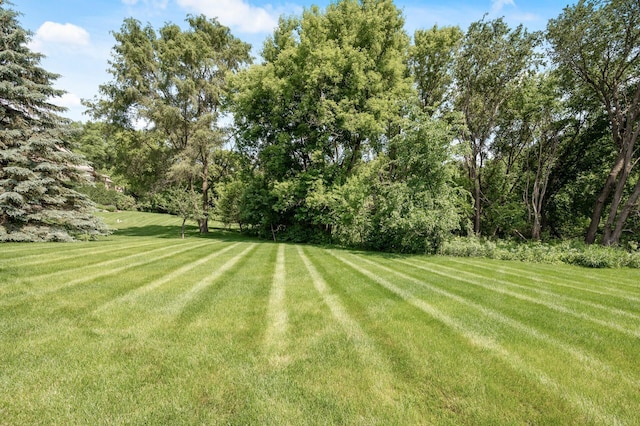 8867 Aviary Path, Inver Grove Heights, MN 55077 - view of grassy yard