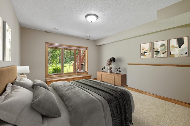 8867 Aviary Path, Inver Grove Heights, MN 55077 - bedroom featuring a textured ceiling and carpet floors