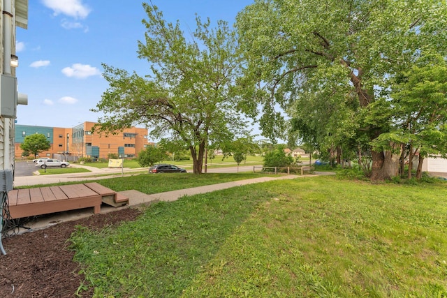 2524 Bryant Ave N, Minneapolis, MN 55411 - view of grassy yard