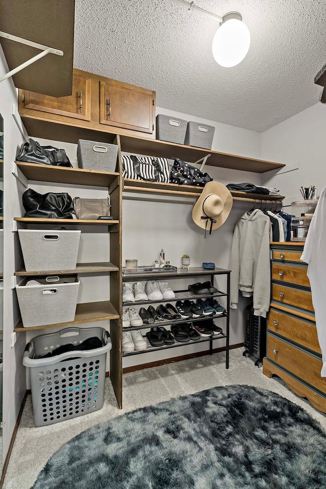 9700 Portland Ave S Unit 334, Bloomington, MN 55420 - spacious closet featuring carpet flooring