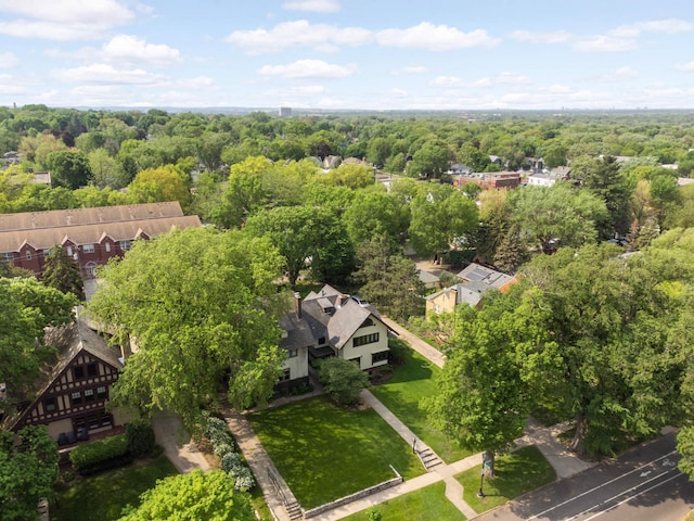 2022 Summit Ave, Saint Paul, MN 55105 - aerial view of a forest