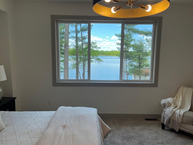 25181 Pine Ln, Nisswa, MN 56468 - photo 22