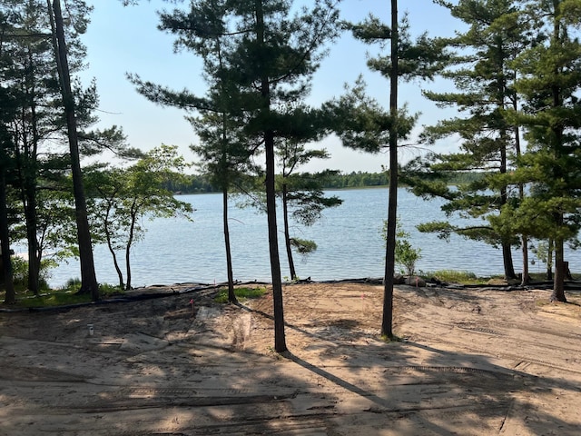 25181 Pine Ln, Nisswa, MN 56468 - photo 46