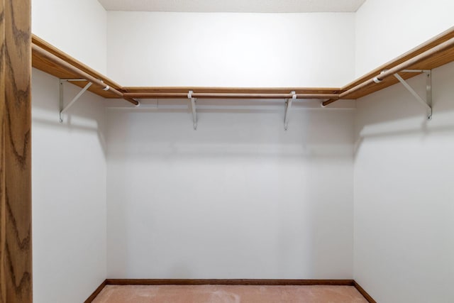 4805 Barbara Ln, Inver Grove Heights, MN 55077 - view of spacious closet