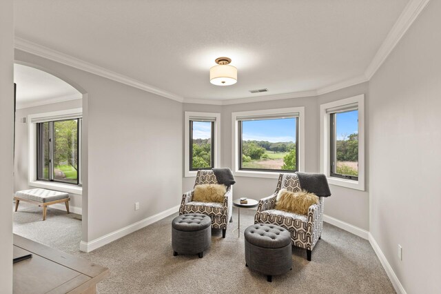 2624 Lakeview Dr, Shakopee, MN 55379 - photo 24