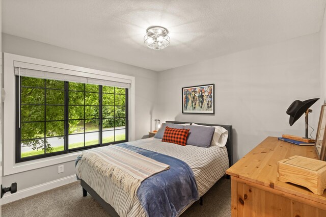 2624 Lakeview Dr, Shakopee, MN 55379 - photo 30