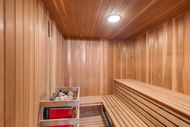 401 21st St SW, Austin, MN 55912 - sauna / steam room featuring wooden walls and wooden ceiling