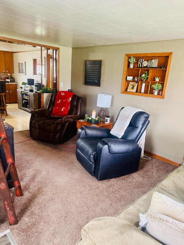 802 5th St NE, Little Falls, MN 56345 - living room with light carpet