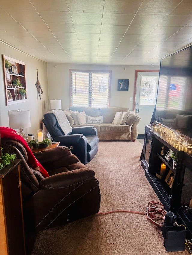 802 5th St NE, Little Falls, MN 56345 - view of carpeted living room