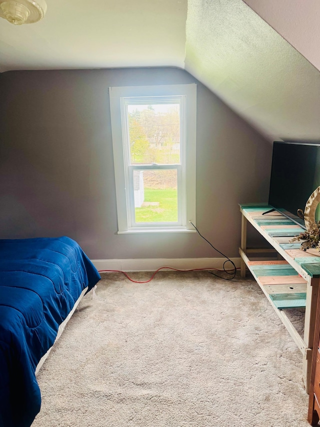 802 5th St NE, Little Falls, MN 56345 - carpeted bedroom with vaulted ceiling, baseboards, and a textured ceiling