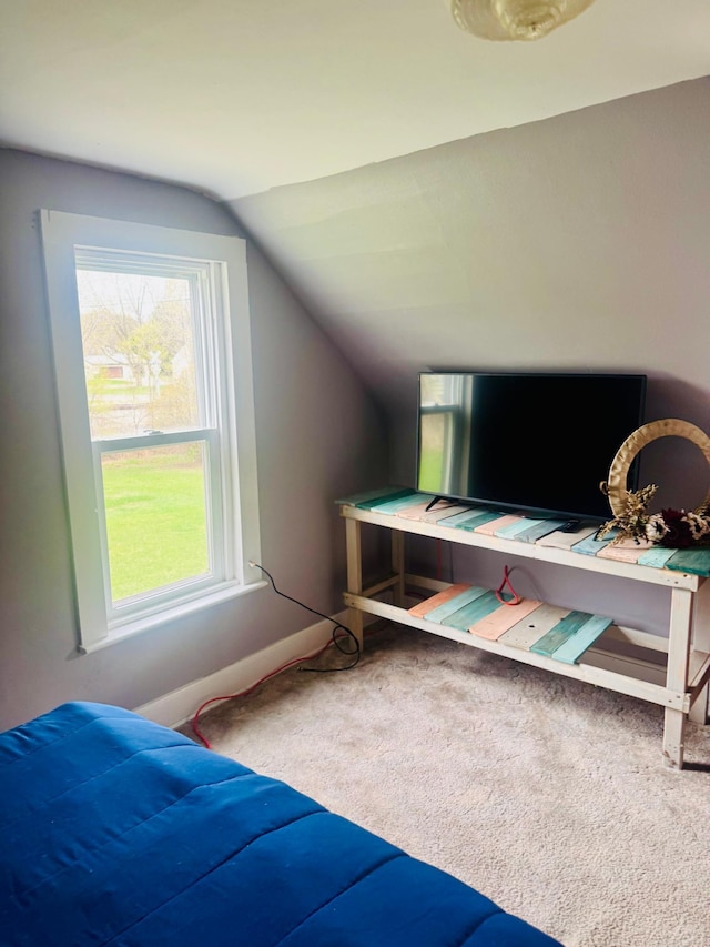 802 5th St NE, Little Falls, MN 56345 - carpeted bedroom with lofted ceiling and baseboards